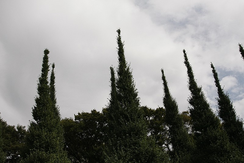 _MG_9685.JPG