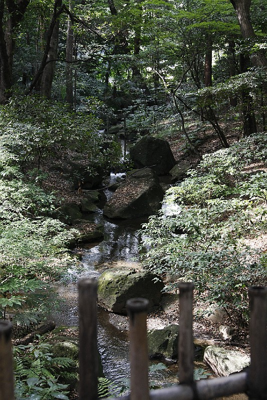 _MG_9698.JPG