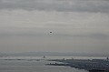 _MG_9656
