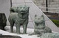 _MG_9682