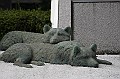 _MG_9683