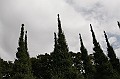 _MG_9685