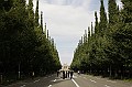 _MG_9686