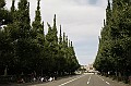 _MG_9688