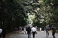 _MG_9697