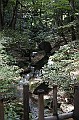 _MG_9698