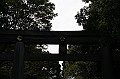 _MG_9706
