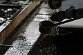 _MG_9710