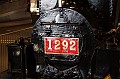 _MG_3915