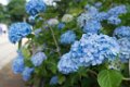 _DSC0038