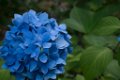 _DSC0072