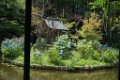 _DSC0129