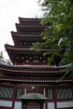 _DSC0196